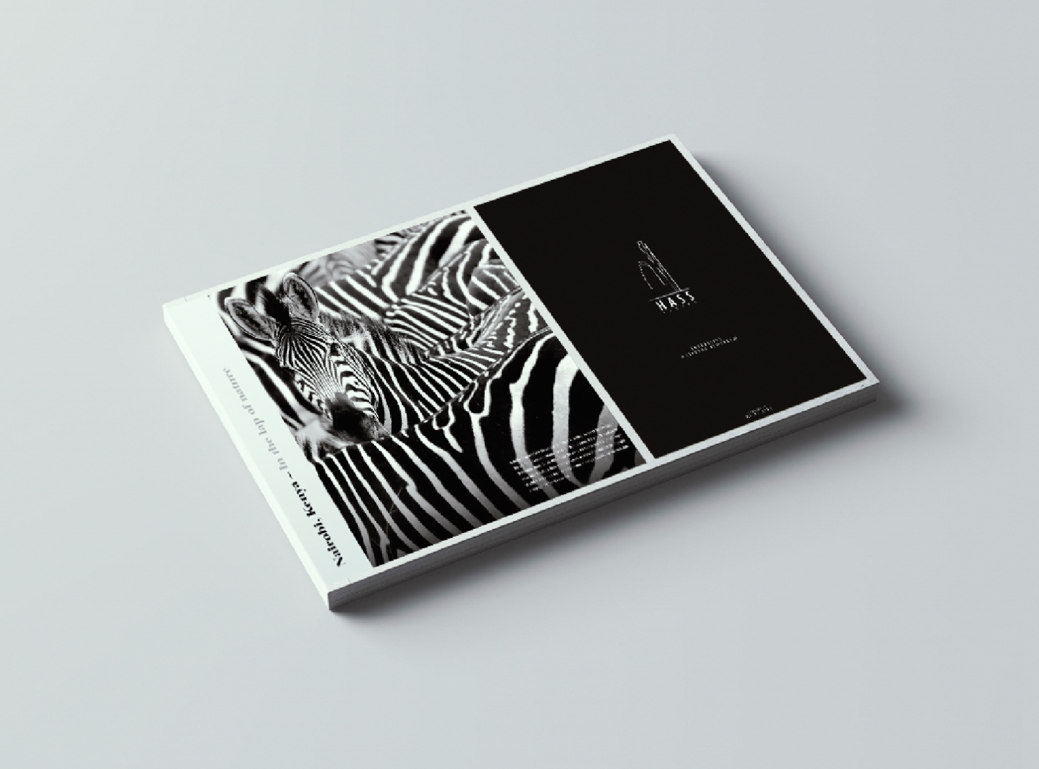 brochure